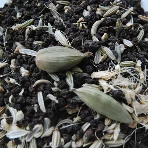 Fennel Chai