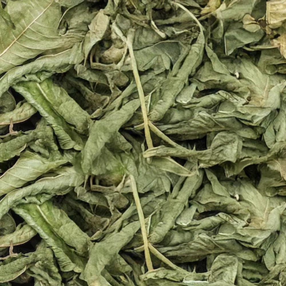 Lemon Verbena