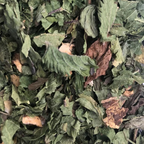 Nourishing Nettle