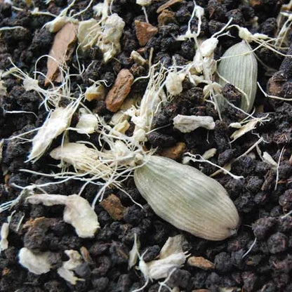 Masala Chai