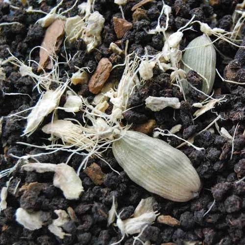 Masala Chai